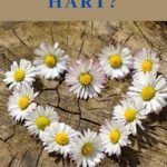 Wit blomme op bruin boomstomp. Opskrif: Hoe lyk jou hart?