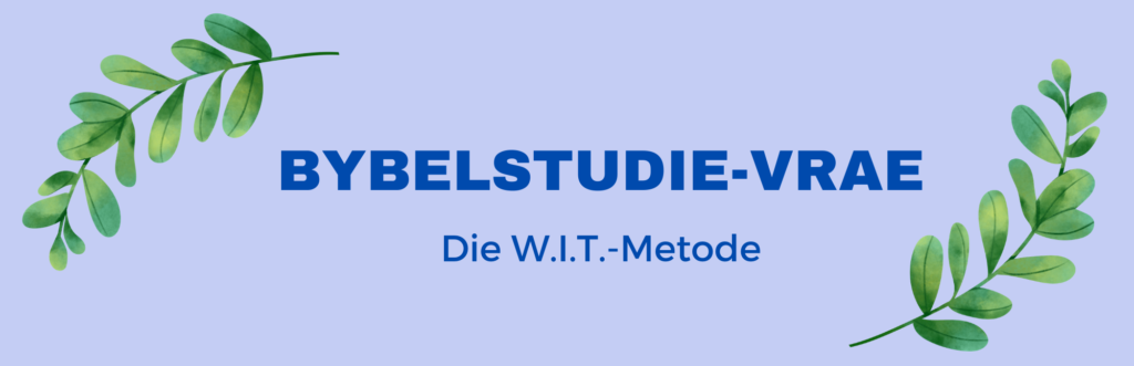 Bybelstudie-vrae