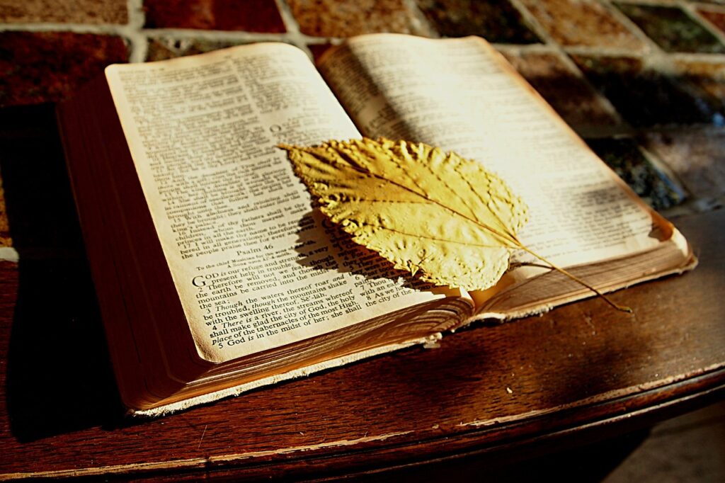 Bybelvers-studie vir beginners