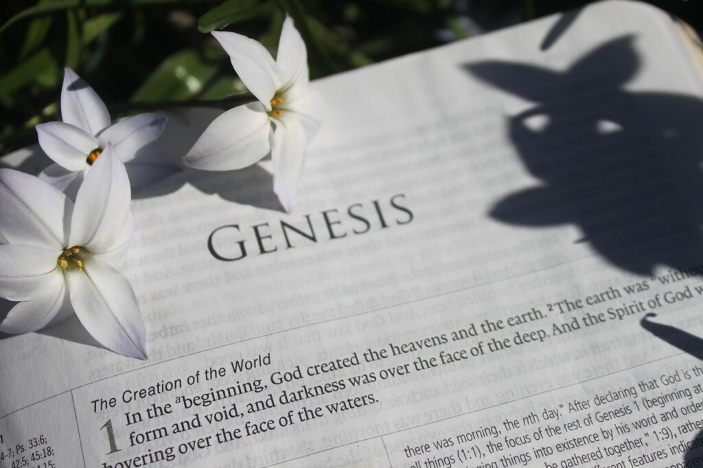 Genesis: Wat jy moet weet