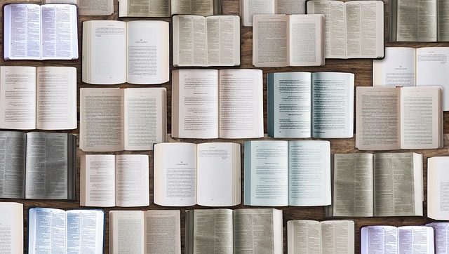 Die Bybel - meer as 'n geskiedenisboek