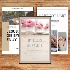 Die Stiltetyd Skatkis